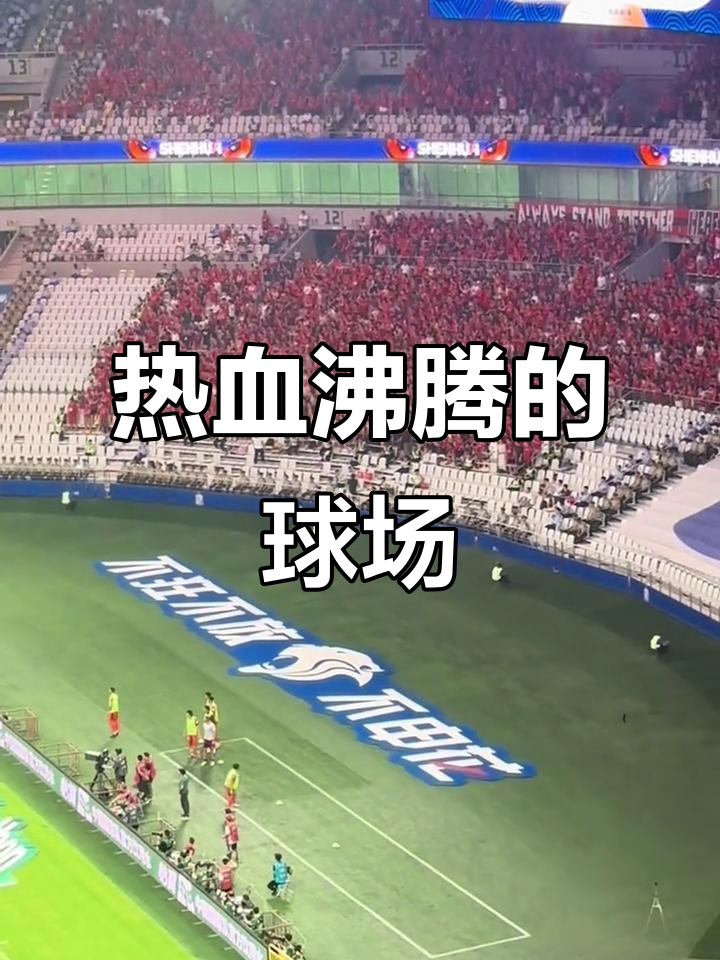 沪上德比,申花主场不敌上港 沪上德比,申花主场不敌上港